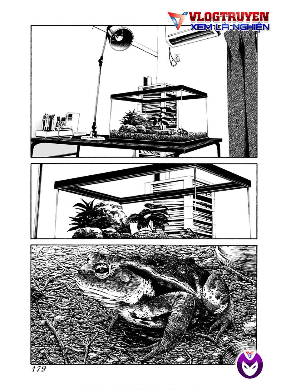 Dịch Vụ Trả Thù Ngoại Truyện - Chapter 80