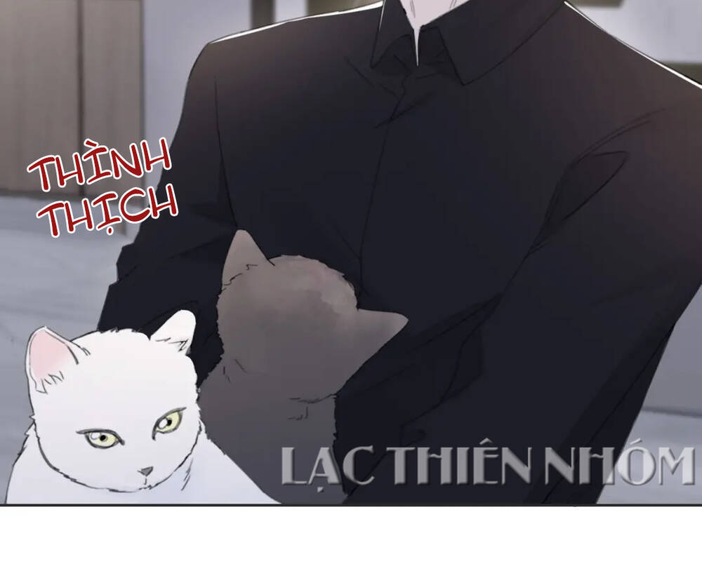 Trong Bóng Tối - Chapter 41