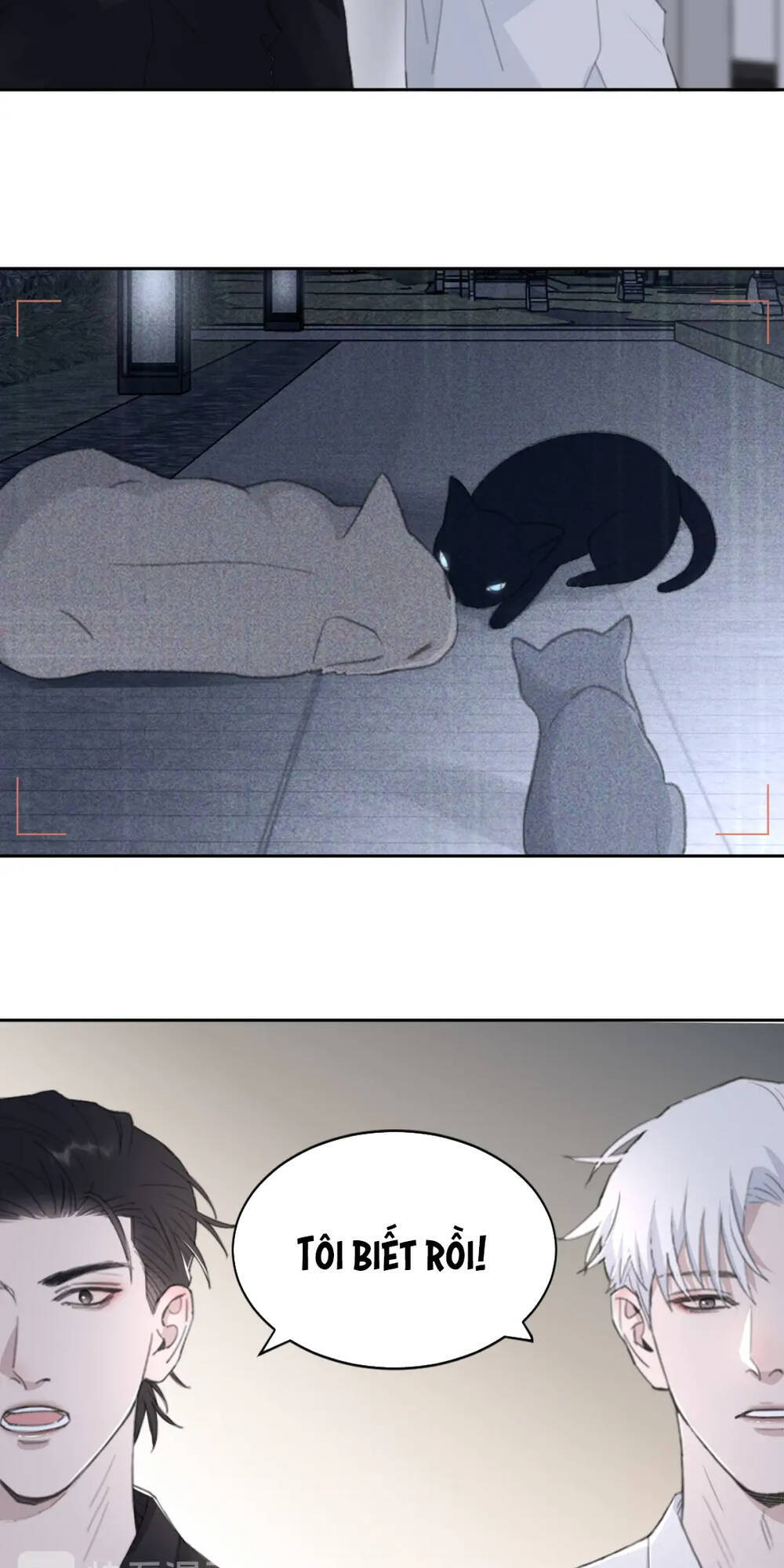 Trong Bóng Tối - Chapter 44