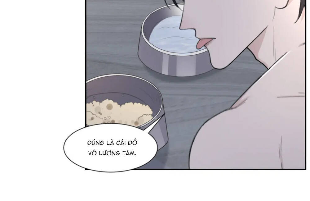 Trong Bóng Tối - Chapter 50