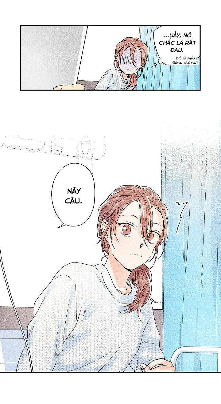 Ánh Nắng Rực Rỡ - Chapter 2