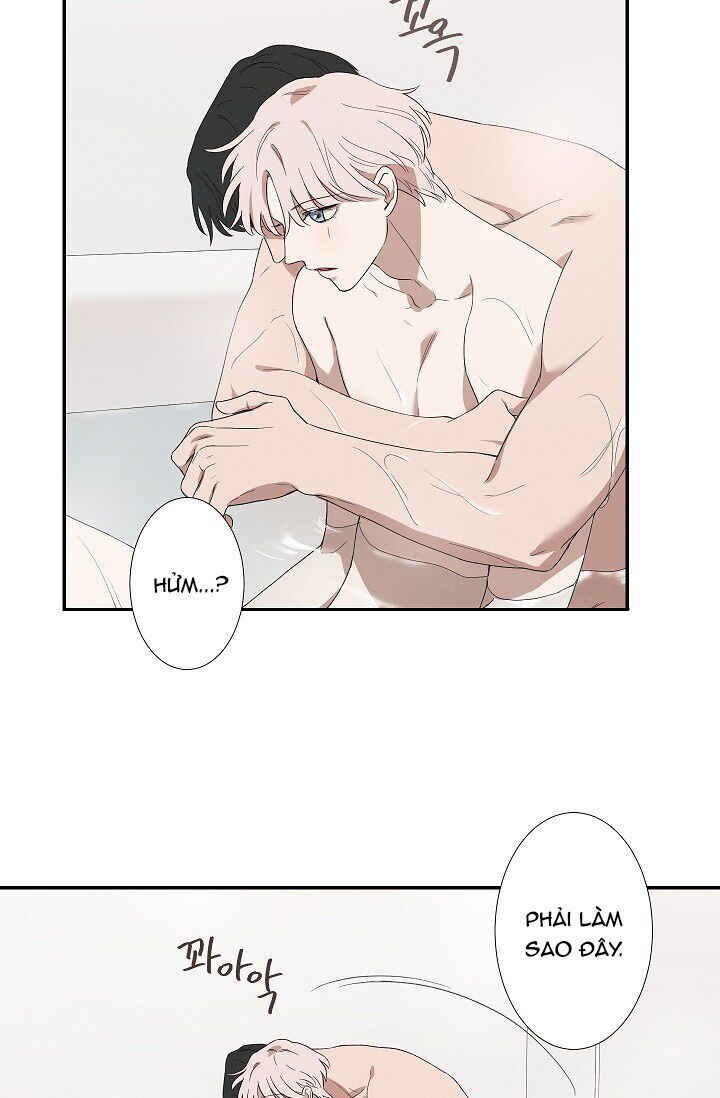 Trốn Tìm - Chapter 28