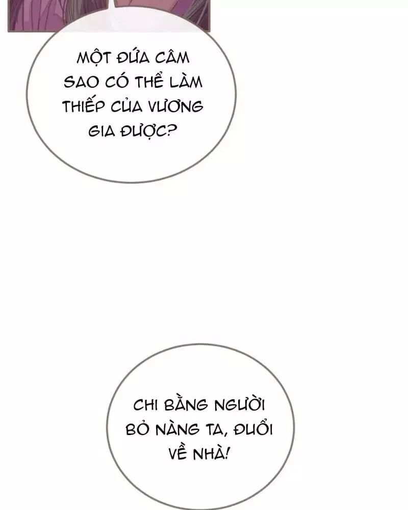 Nô Lệ Câm - Chapter 2