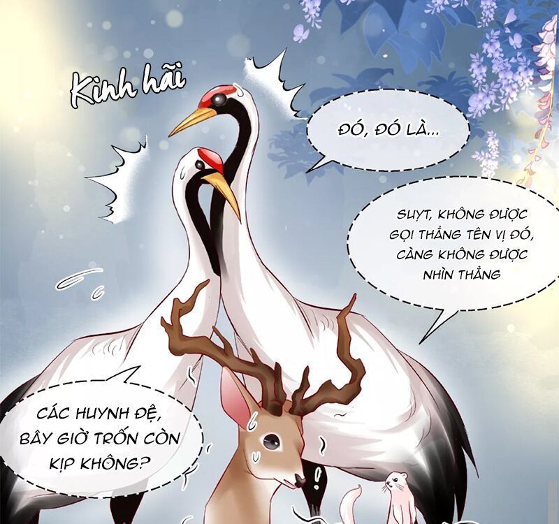 Ma Tôn Muốn Ôm Ôm - Chapter 33