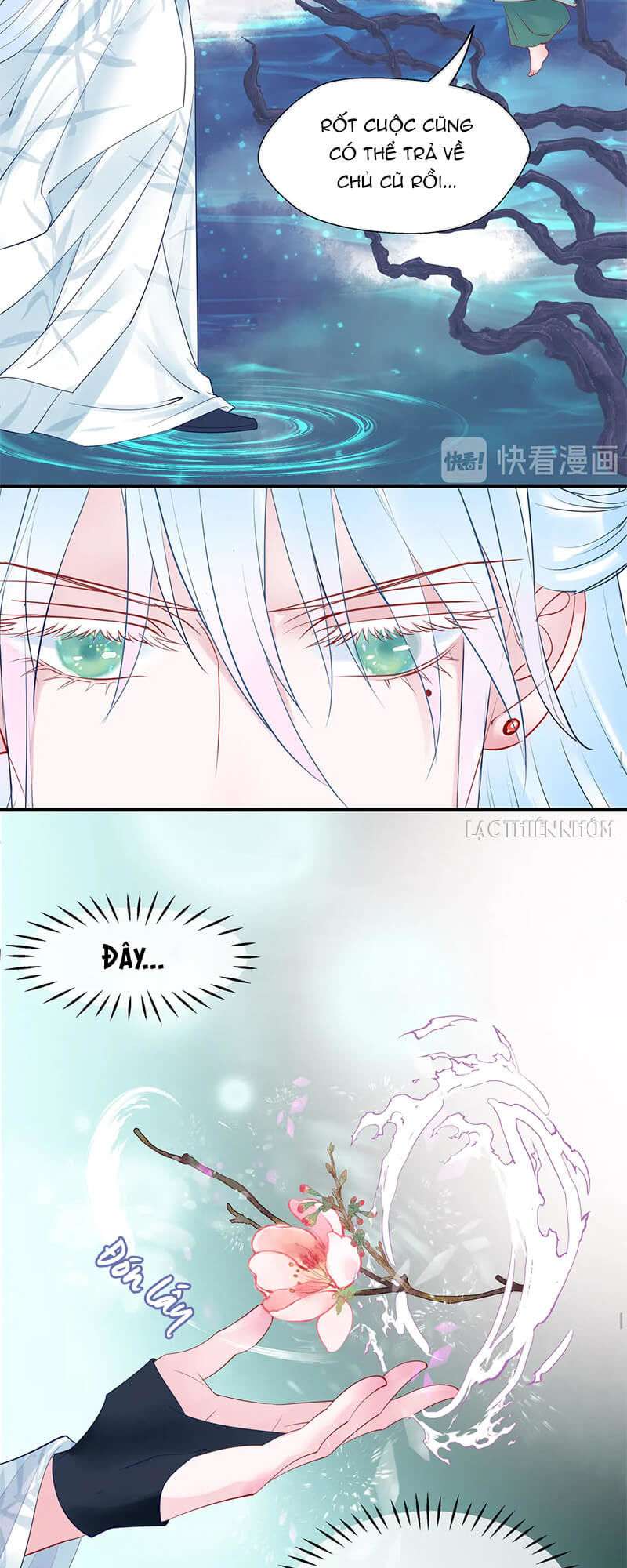 Ma Tôn Muốn Ôm Ôm - Chapter 50