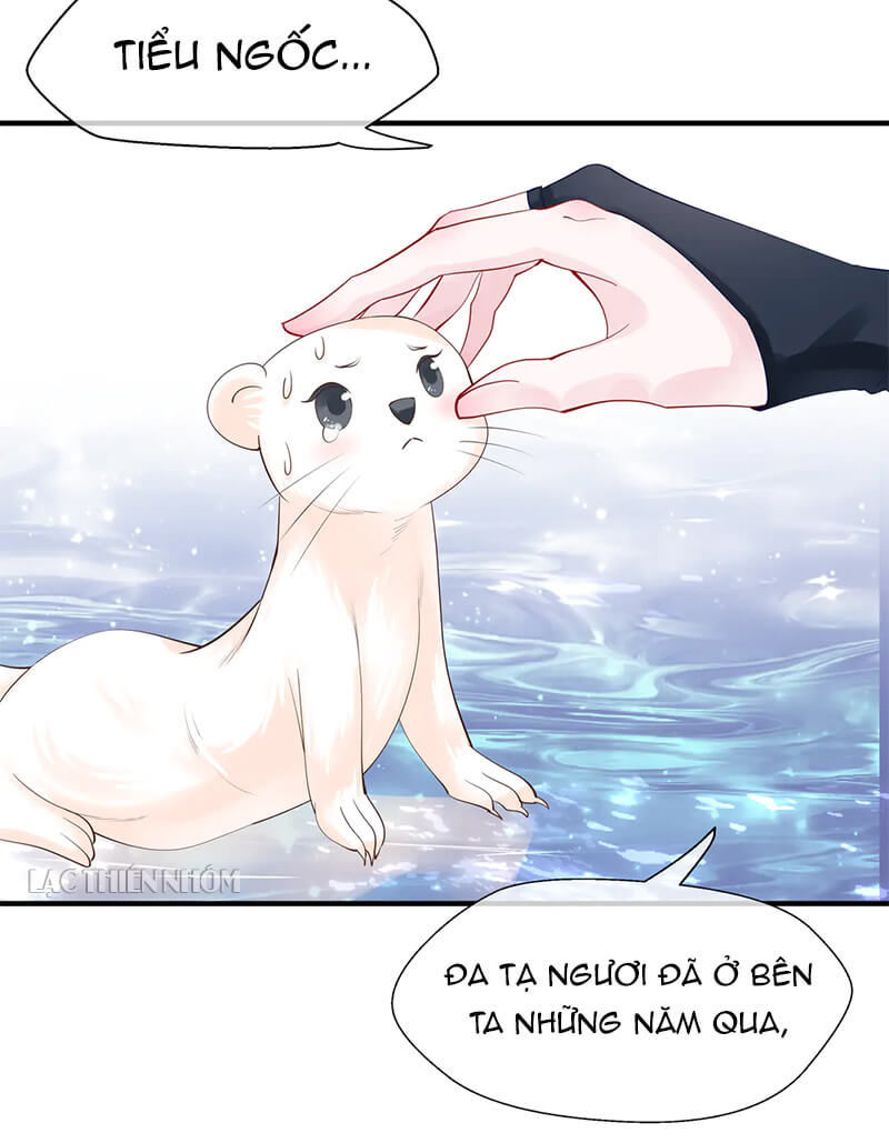 Ma Tôn Muốn Ôm Ôm - Chapter 51