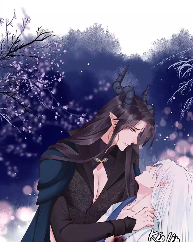 Ma Tôn Muốn Ôm Ôm - Chapter 52
