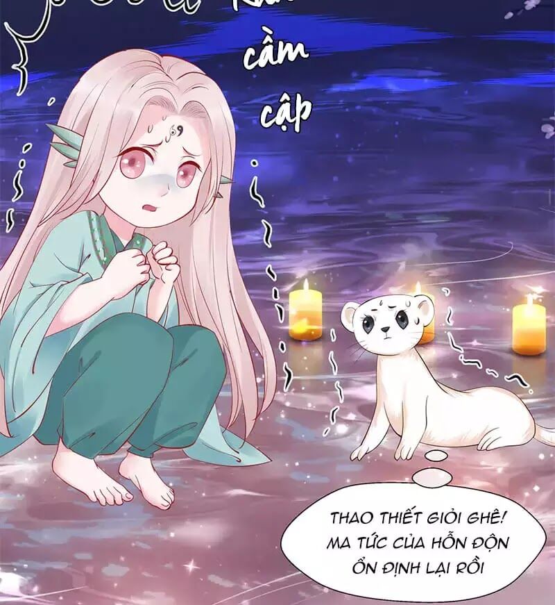 Ma Tôn Muốn Ôm Ôm - Chapter 52