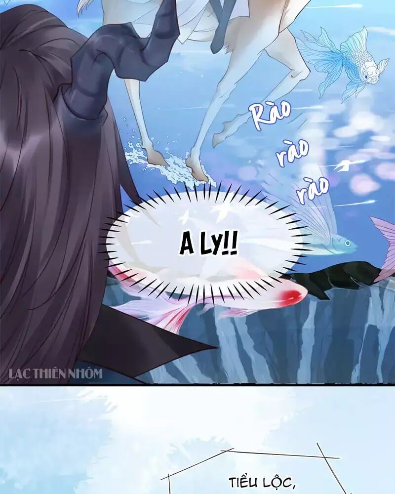 Ma Tôn Muốn Ôm Ôm - Chapter 52