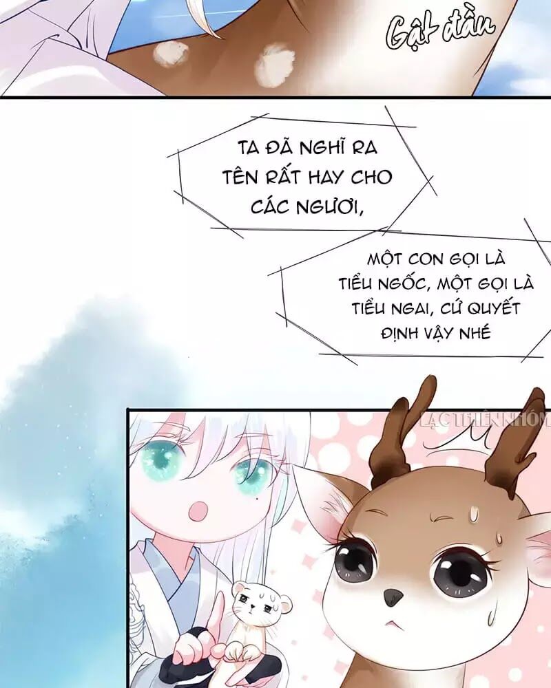 Ma Tôn Muốn Ôm Ôm - Chapter 52