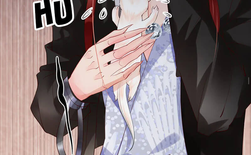 Ma Tôn Muốn Ôm Ôm - Chapter 55