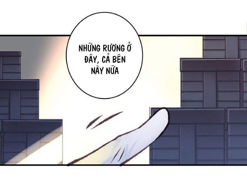Khanh Như Tơ - Chapter 62