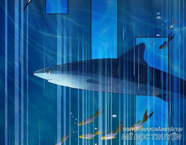 Giai Điệu Của Sự Va Chạm - Chapter 4