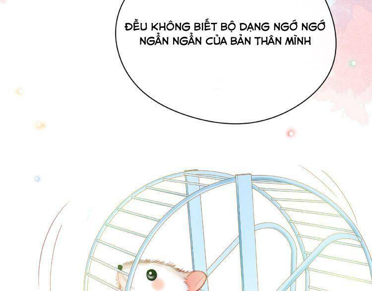 Giai Điệu Của Sự Va Chạm - Chapter 50