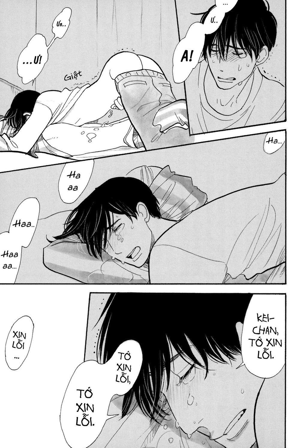 Itoshi No Nekokke - Đường Dài Về Nhà - Chapter 4