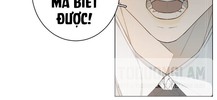 Xúc Bất Khả Cập - Chapter 1