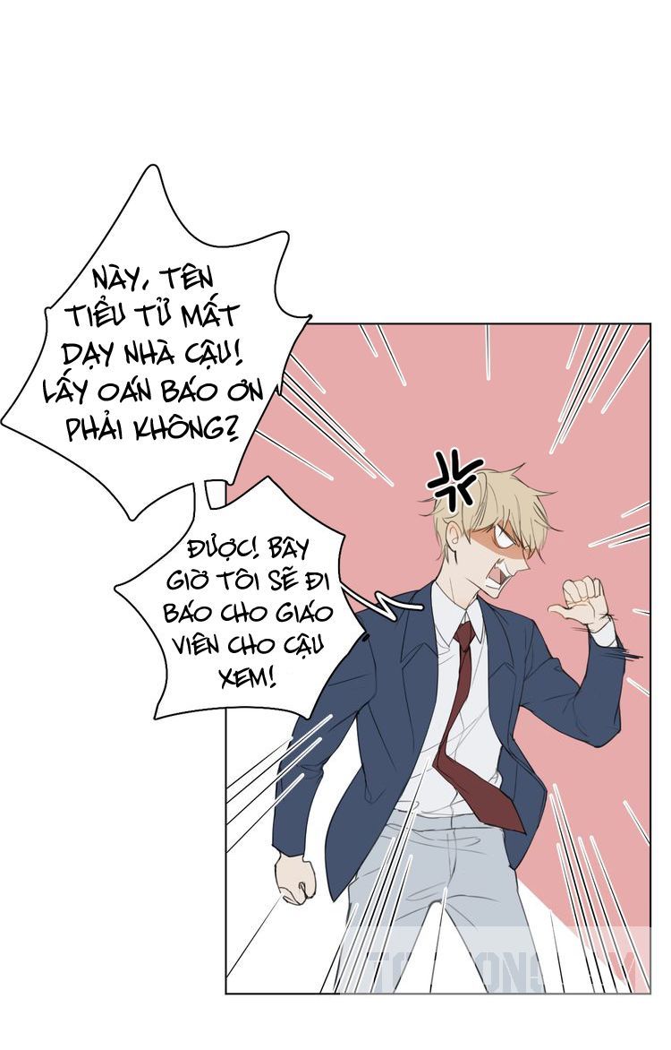 Xúc Bất Khả Cập - Chapter 4