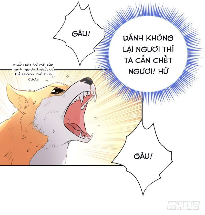 Lụ Đạn, Hôm Nay Lại Cũng Không Thể Biến Thành Người Được - Chapter 1