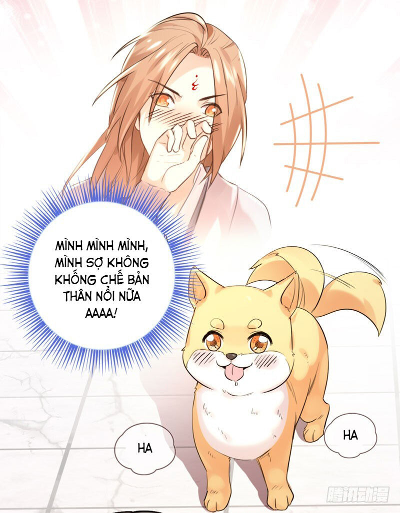 Lụ Đạn, Hôm Nay Lại Cũng Không Thể Biến Thành Người Được - Chapter 2