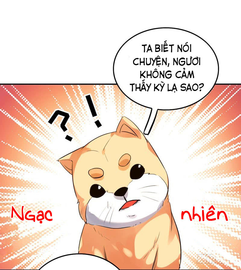 Lụ Đạn, Hôm Nay Lại Cũng Không Thể Biến Thành Người Được - Chapter 2