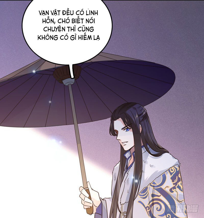 Lụ Đạn, Hôm Nay Lại Cũng Không Thể Biến Thành Người Được - Chapter 2