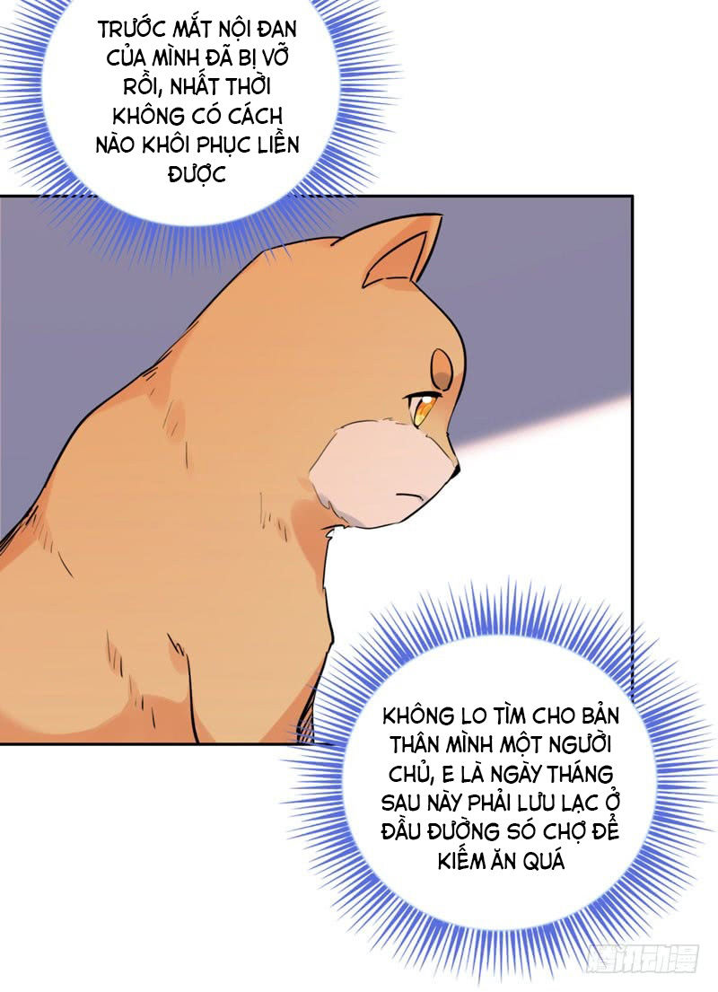 Lụ Đạn, Hôm Nay Lại Cũng Không Thể Biến Thành Người Được - Chapter 2