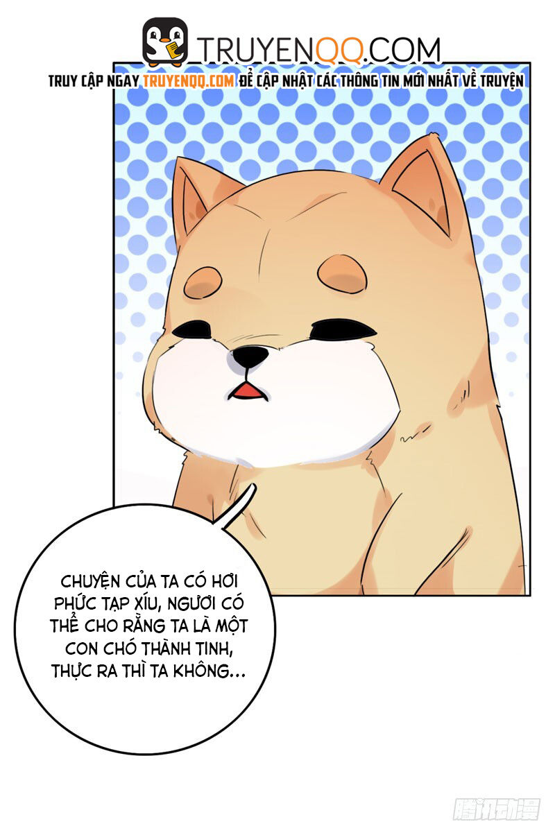 Lụ Đạn, Hôm Nay Lại Cũng Không Thể Biến Thành Người Được - Chapter 2