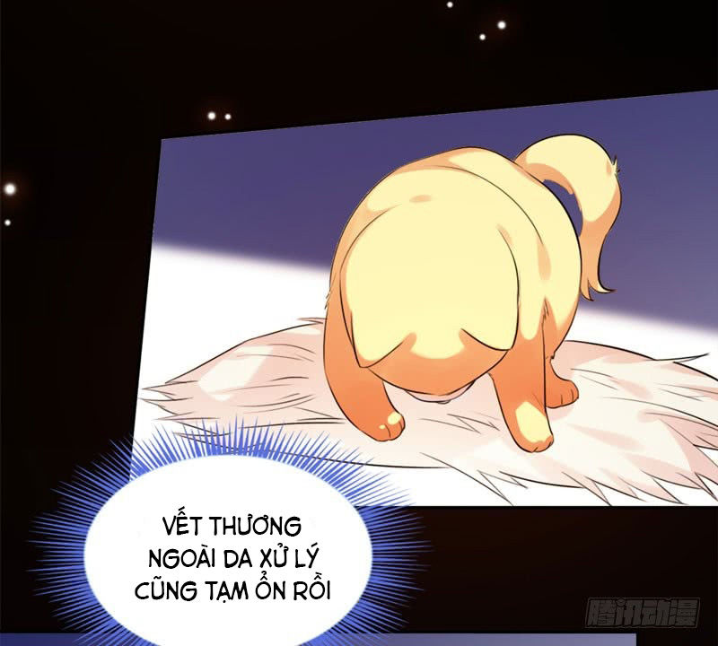 Lụ Đạn, Hôm Nay Lại Cũng Không Thể Biến Thành Người Được - Chapter 2