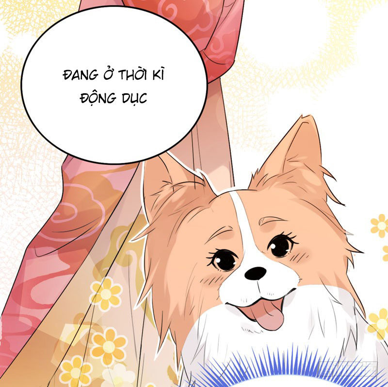 Lụ Đạn, Hôm Nay Lại Cũng Không Thể Biến Thành Người Được - Chapter 3