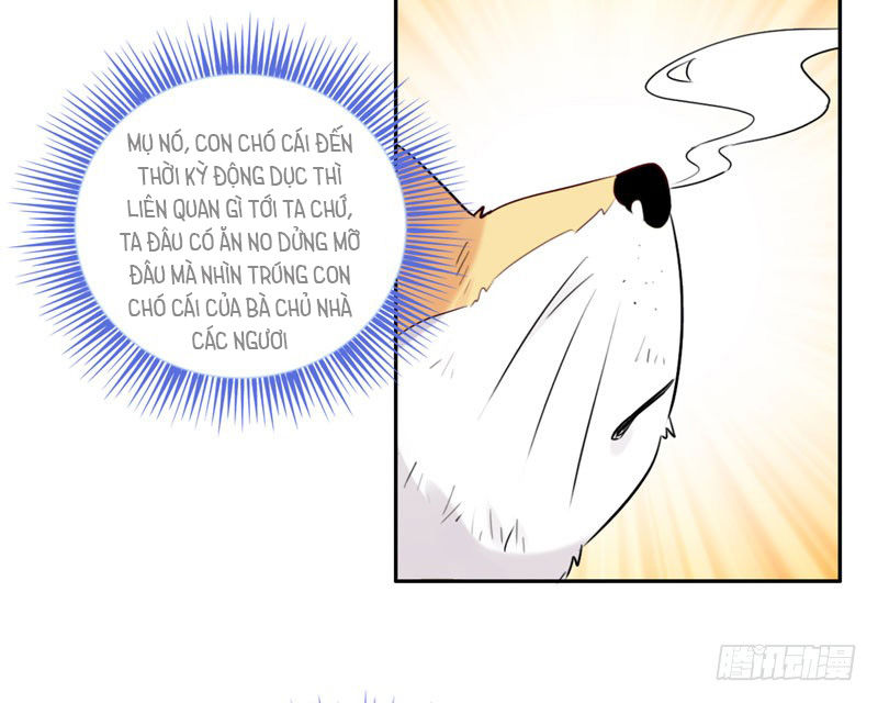 Lụ Đạn, Hôm Nay Lại Cũng Không Thể Biến Thành Người Được - Chapter 3