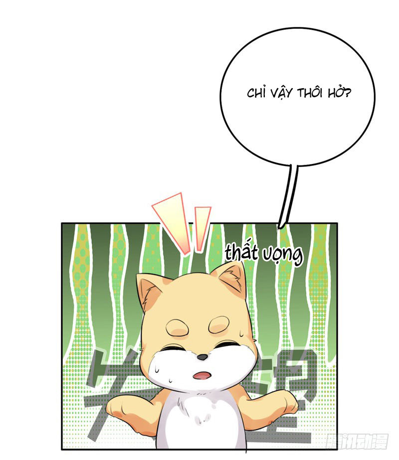 Lụ Đạn, Hôm Nay Lại Cũng Không Thể Biến Thành Người Được - Chapter 3