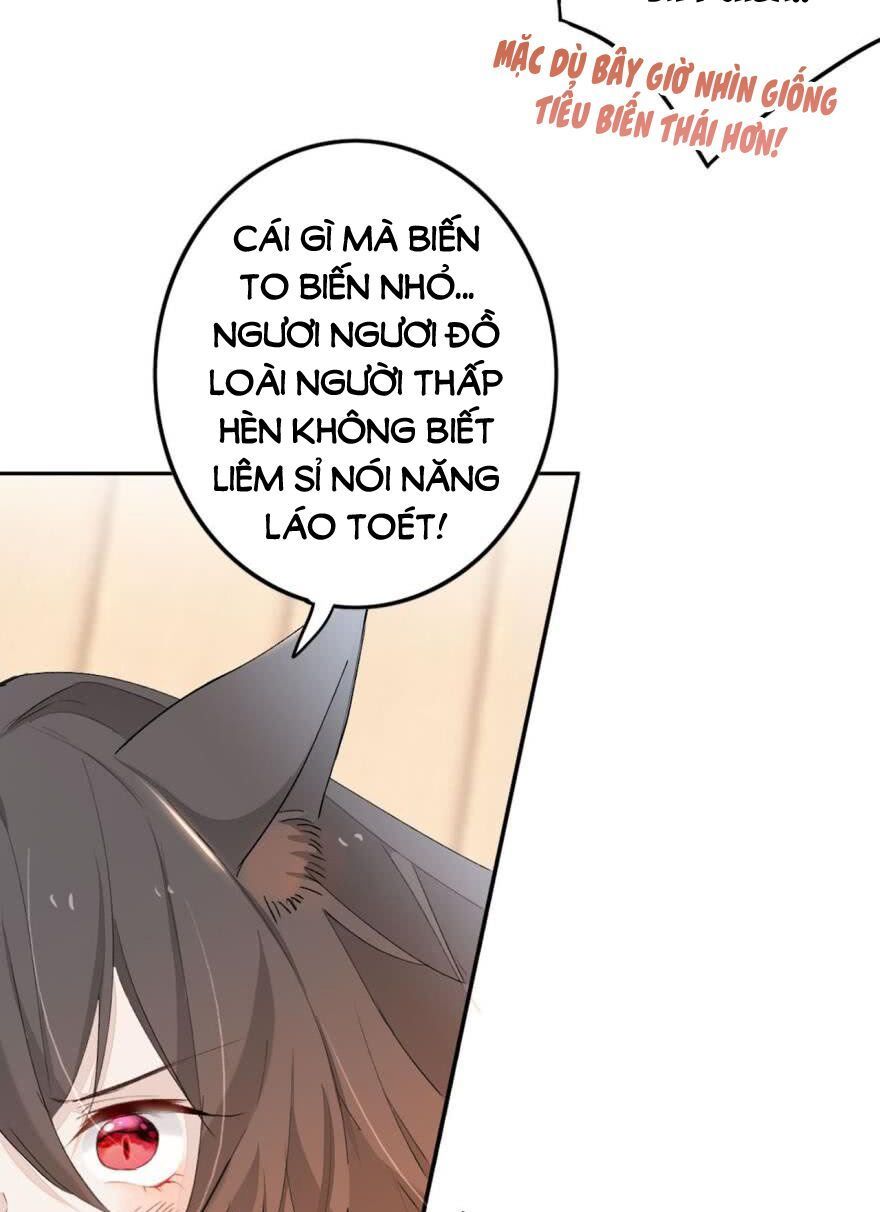 Nghịch Lai Thuận Thú - Chapter 5