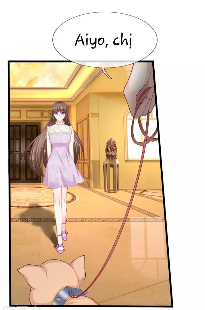 Từ Chối Kết Hôn Với Đại Gia: Cô Dâu Bỏ Trốn - Chapter 47