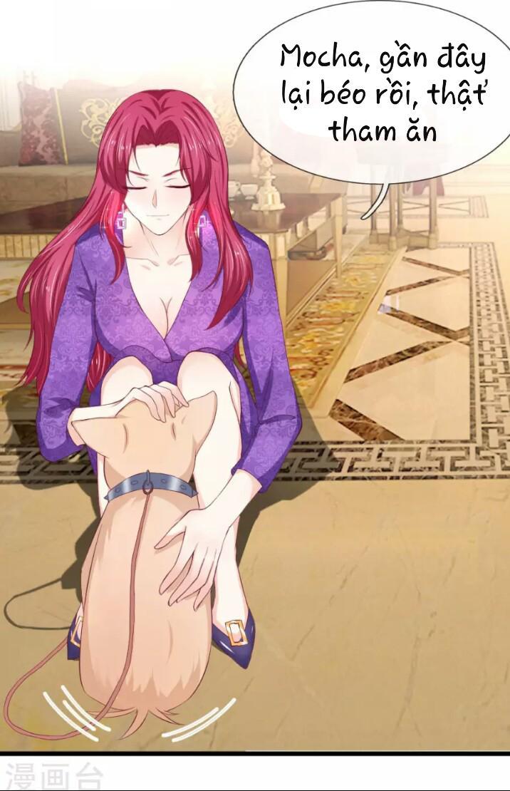 Từ Chối Kết Hôn Với Đại Gia: Cô Dâu Bỏ Trốn - Chapter 47