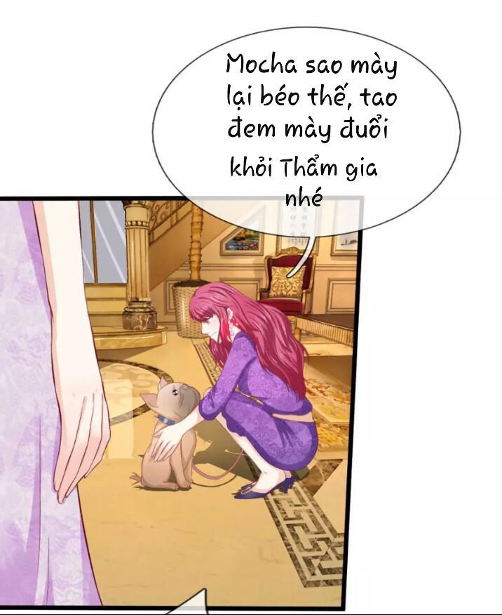 Từ Chối Kết Hôn Với Đại Gia: Cô Dâu Bỏ Trốn - Chapter 47