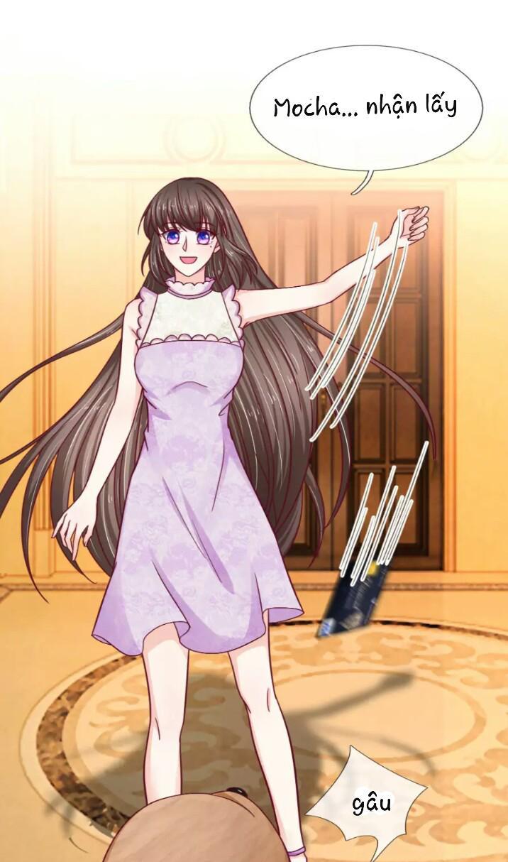 Từ Chối Kết Hôn Với Đại Gia: Cô Dâu Bỏ Trốn - Chapter 48