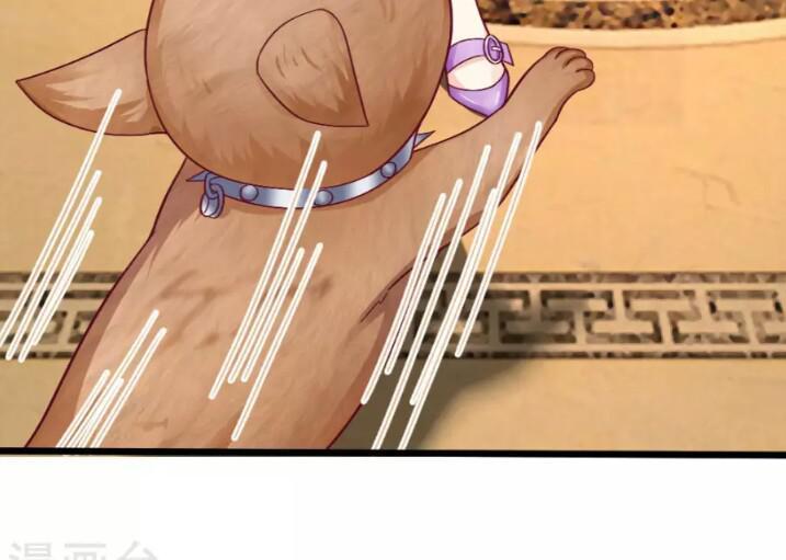 Từ Chối Kết Hôn Với Đại Gia: Cô Dâu Bỏ Trốn - Chapter 48