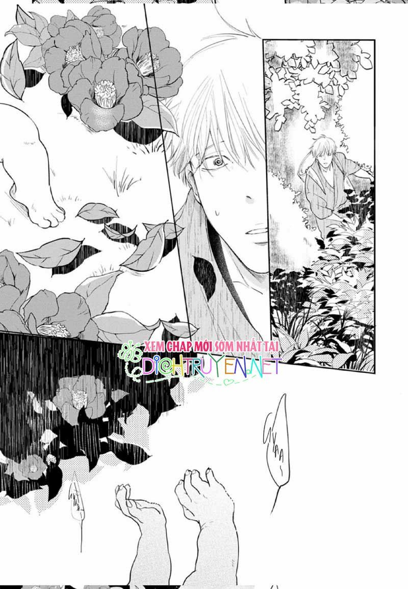 Hoa Trà Đỏ - Chapter 1