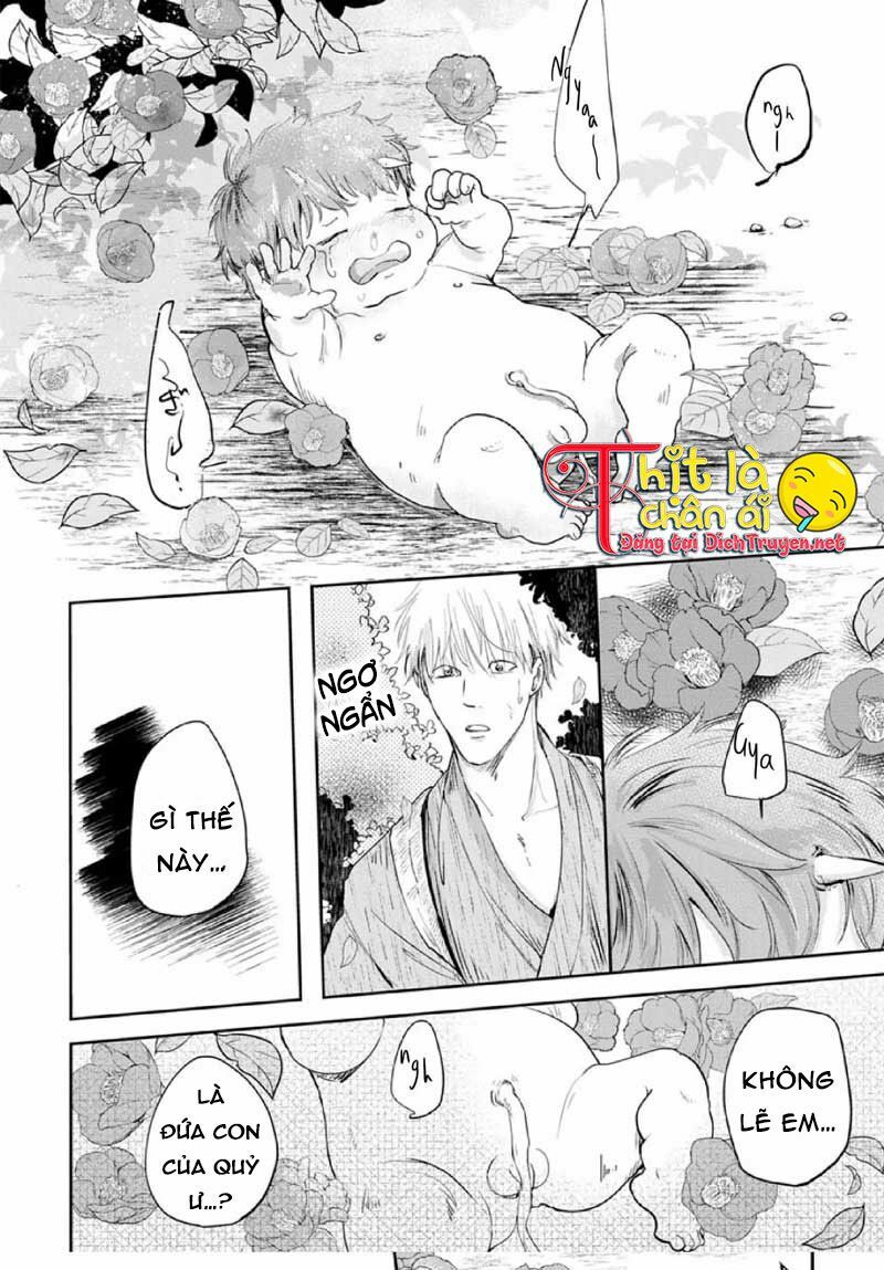 Hoa Trà Đỏ - Chapter 1