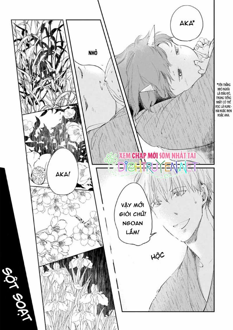 Hoa Trà Đỏ - Chapter 1