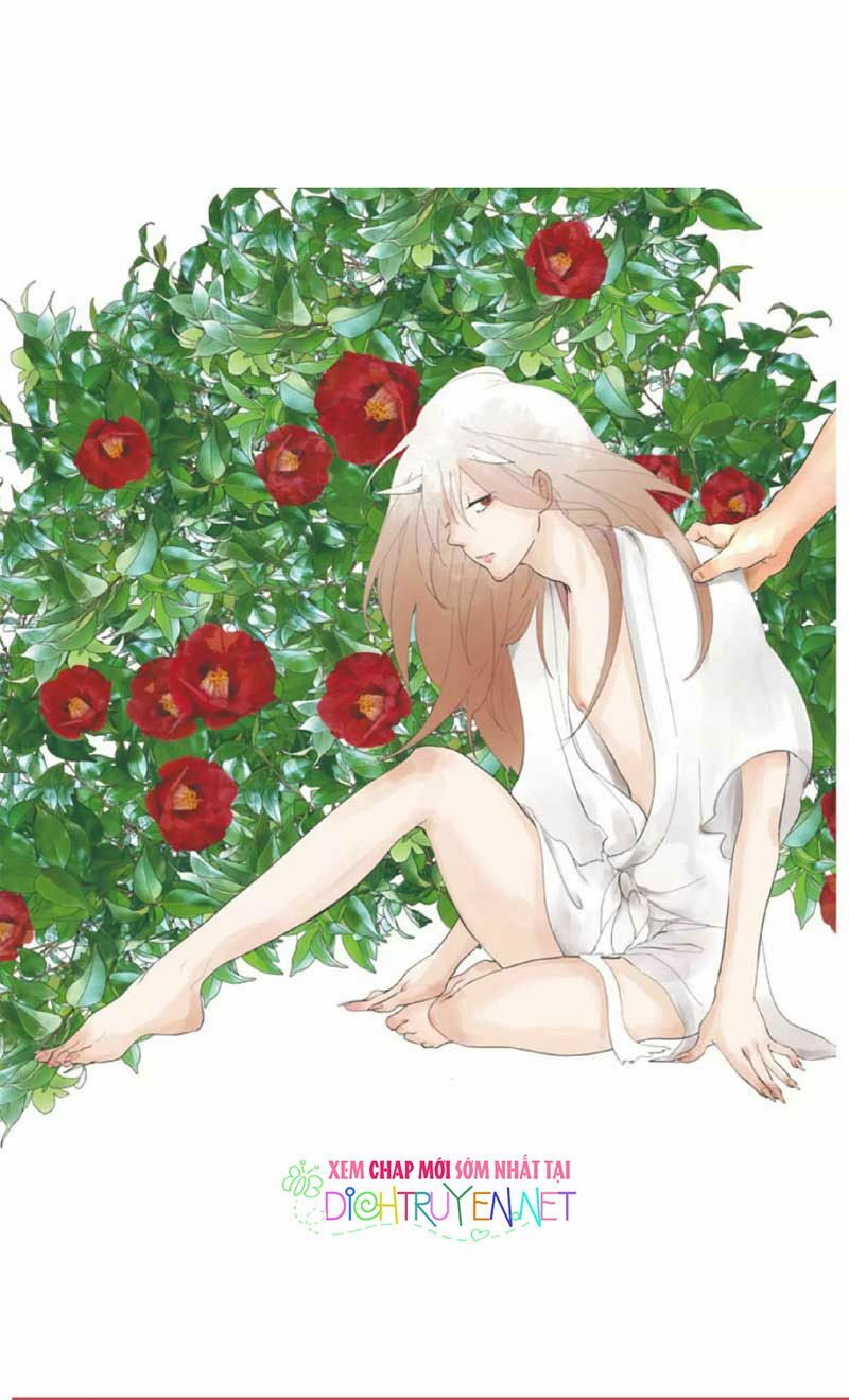 Hoa Trà Đỏ - Chapter 1