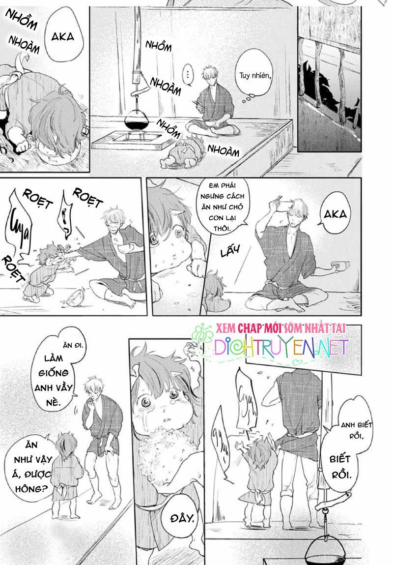 Hoa Trà Đỏ - Chapter 1