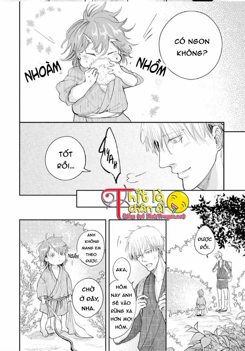 Hoa Trà Đỏ - Chapter 1
