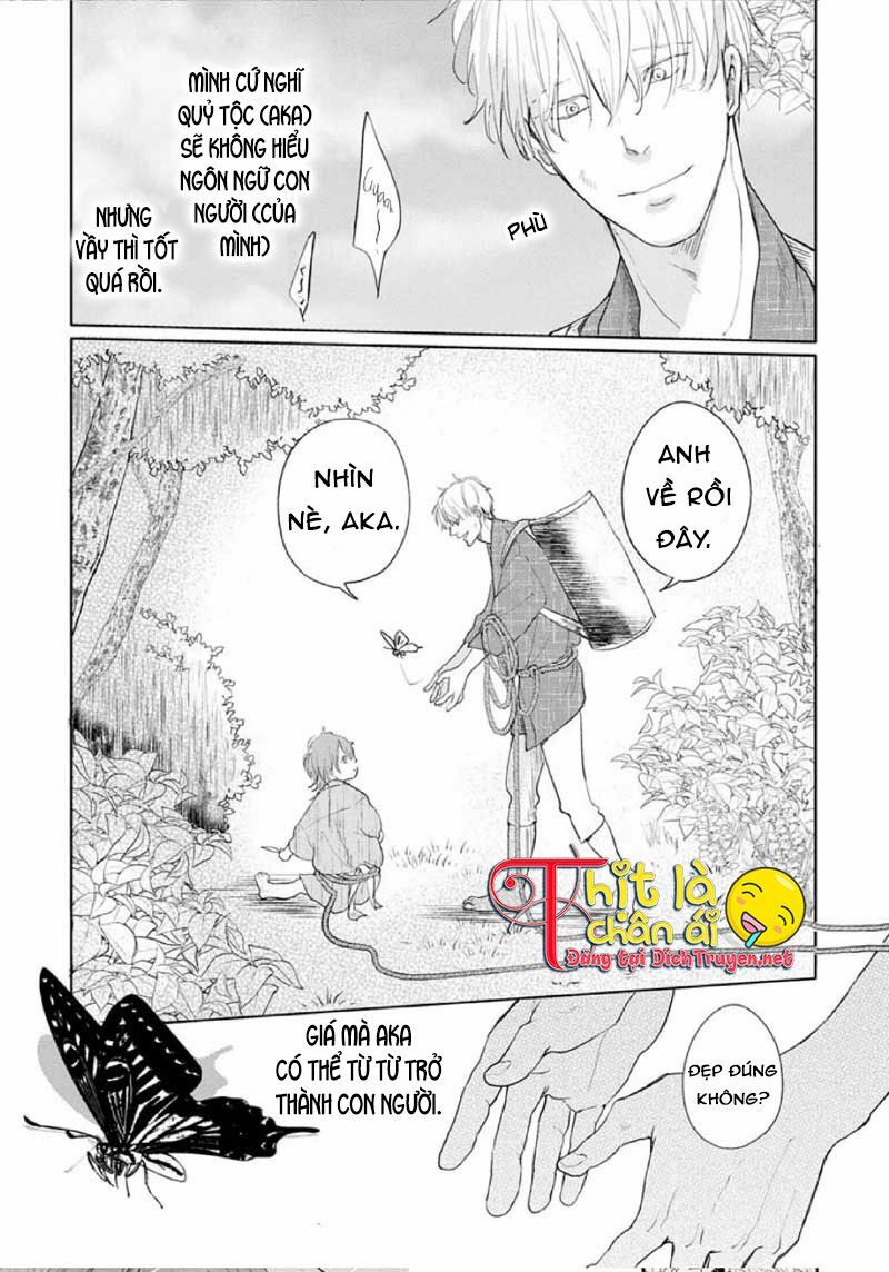 Hoa Trà Đỏ - Chapter 1