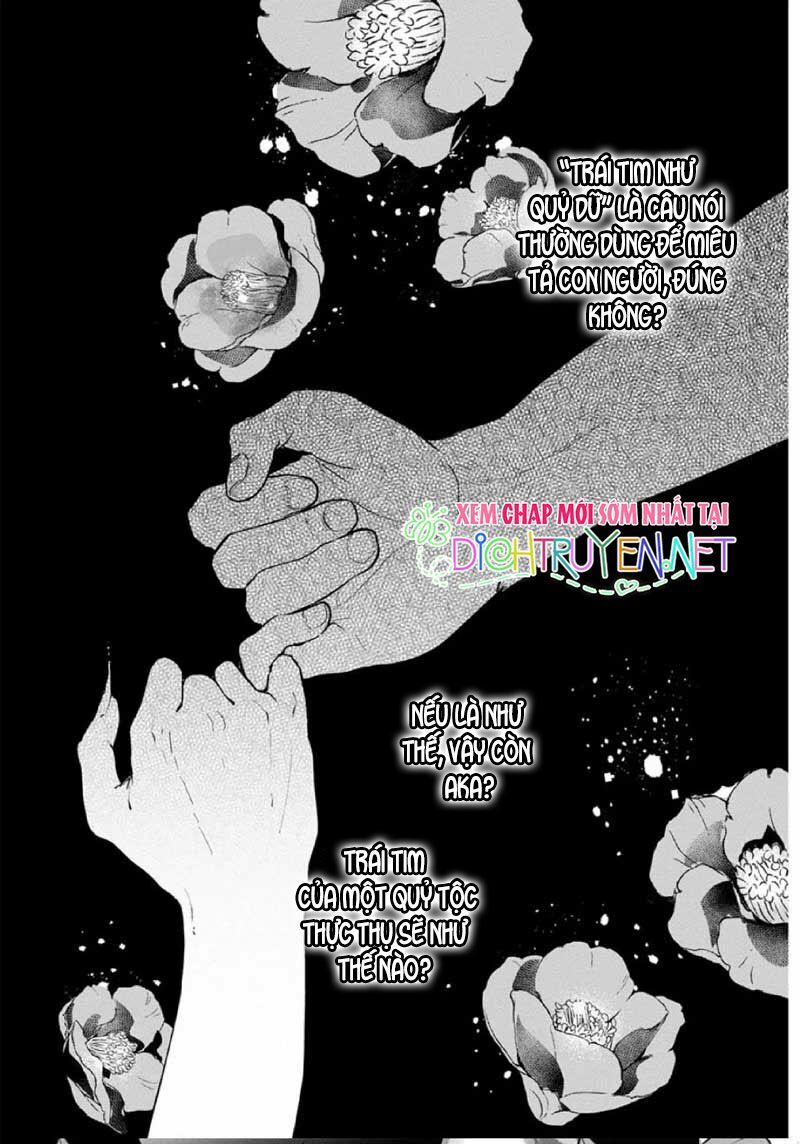 Hoa Trà Đỏ - Chapter 1