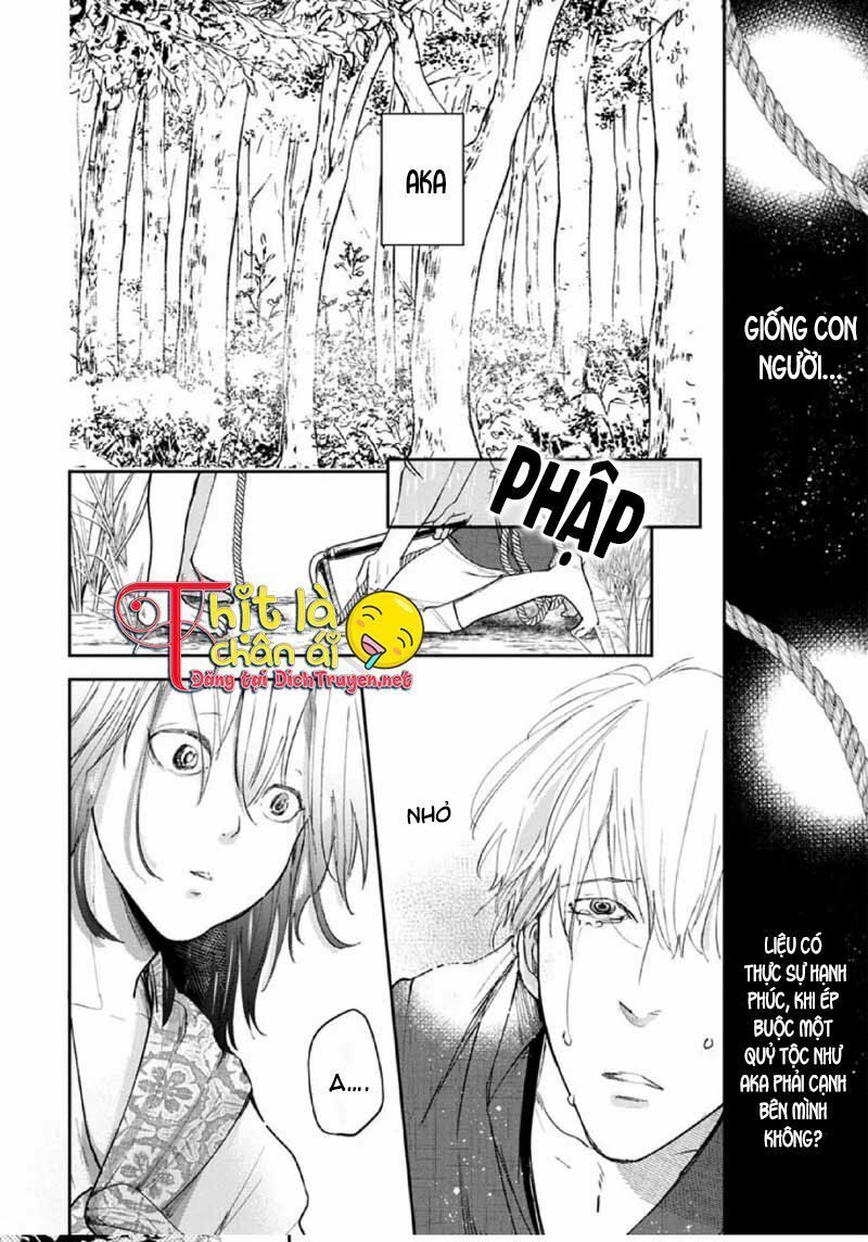 Hoa Trà Đỏ - Chapter 1