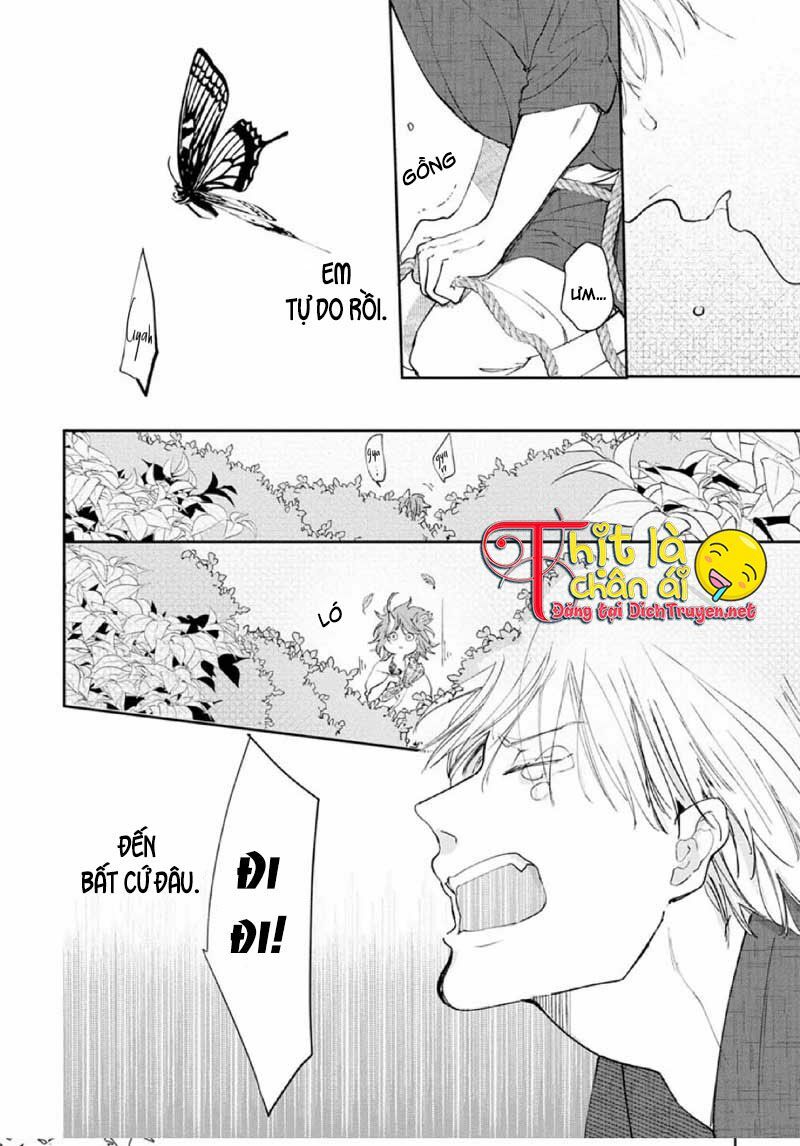 Hoa Trà Đỏ - Chapter 1