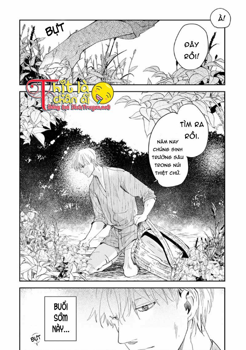 Hoa Trà Đỏ - Chapter 1