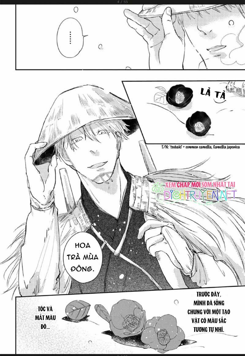 Hoa Trà Đỏ - Chapter 2