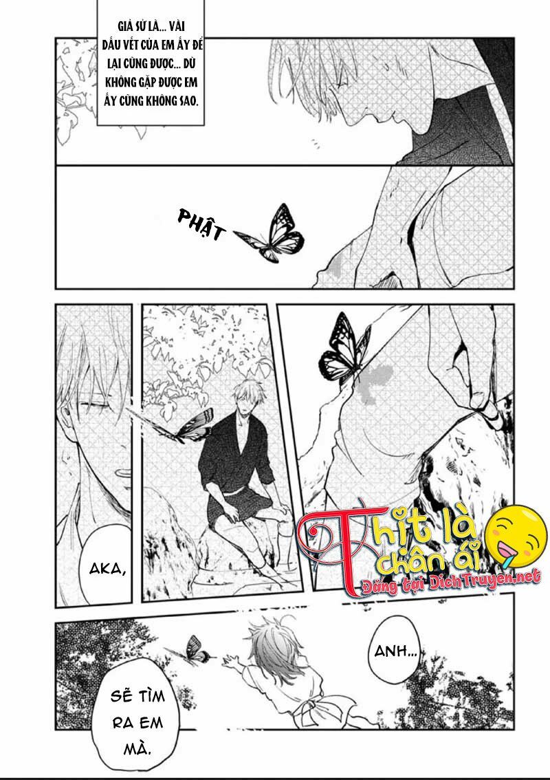 Hoa Trà Đỏ - Chapter 2